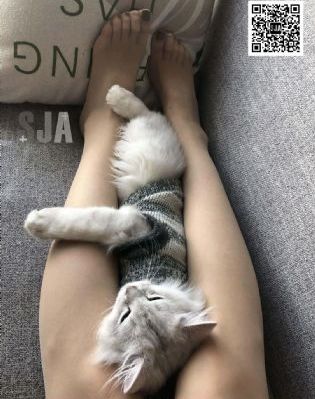 操小妹影院_4K高清免费观看